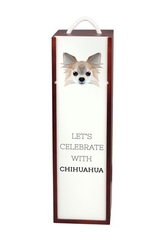 Chihuahua poil long - chihuahua,