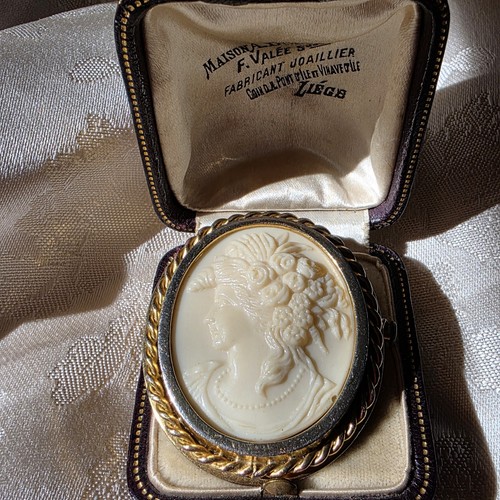 Superbe broche camée ovale - ​superbe,