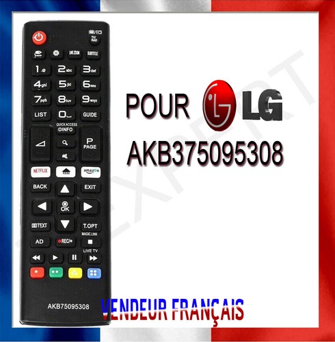 Télécommande remplacement
