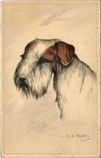 CPA AK Airedale Terrier DOGS (728206)