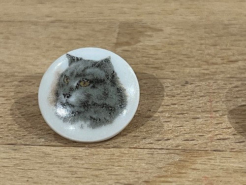 Pins pin animaux chat - pin, cat
