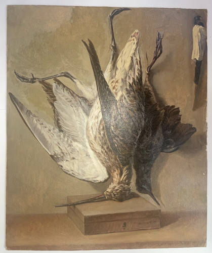 Nature morte becasse - nature,