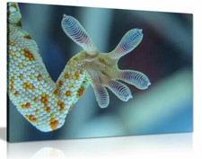 Tableau art mural sur toile