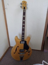 Guitare basse semi-acoustique