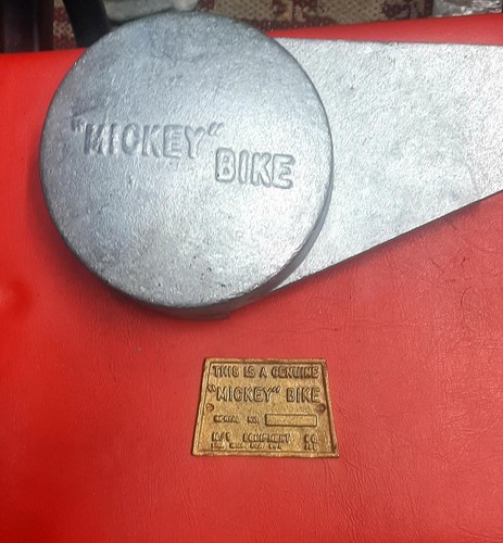 Mickey bike chain guard - mickey,