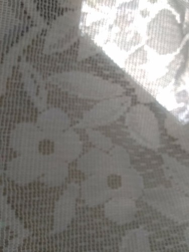 Antique romantic white floral - antique,