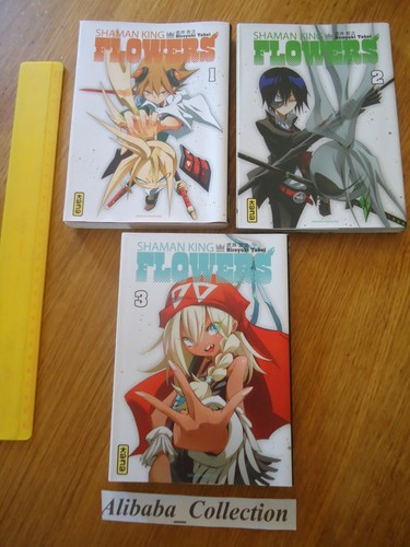 Lot manga shaman king - lot,