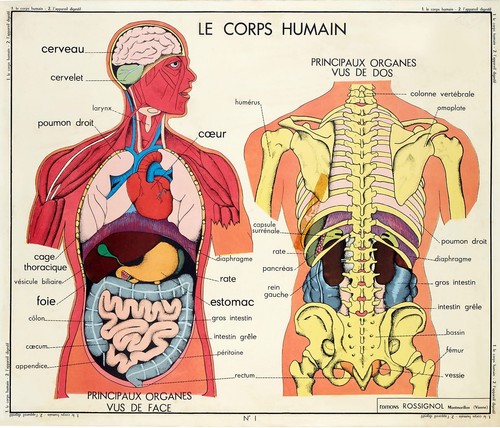 Carte vidal lablache corps - vidal,