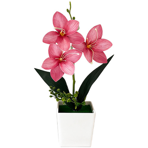 Plante pot pour orchidée - pot,
