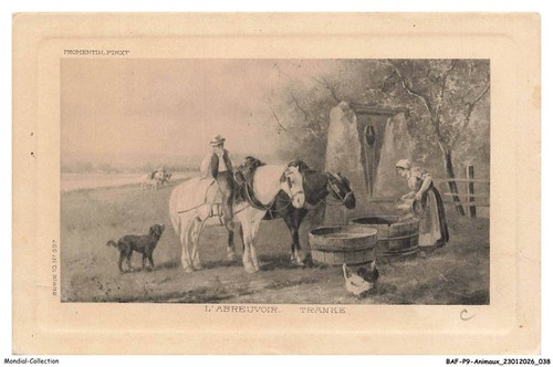 Bafp9 0815 animaux - -, chevaux