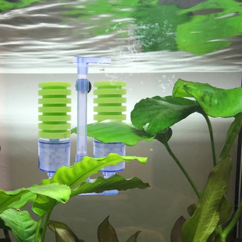 Système hydroponique filtre - système,