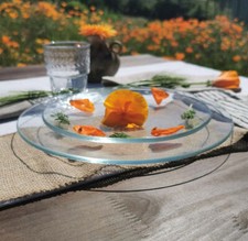 FIORIRA UN GIARDINO 6