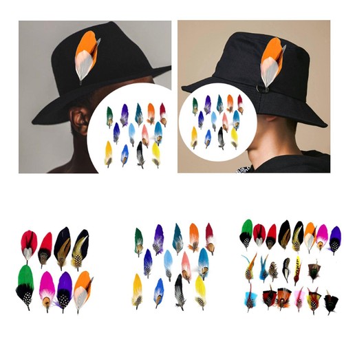 Plumes chapeau pour - de,