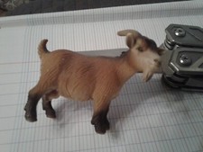 Chèvre Naine - Schleich 2004