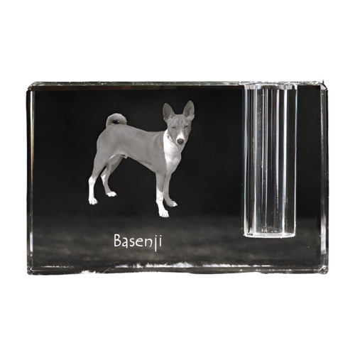 Basenji kongo terrier - basenji,kongo-terrier, porte