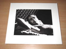 LUMAS PHOTO IMAGE - PAUL