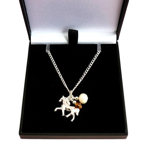 Poney cheval collier avec - poney,