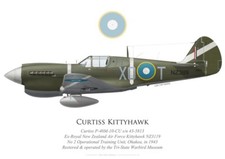 Print P-40 Kittyhawk NZ3119
