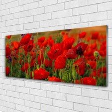 Impression sur verre acrylique