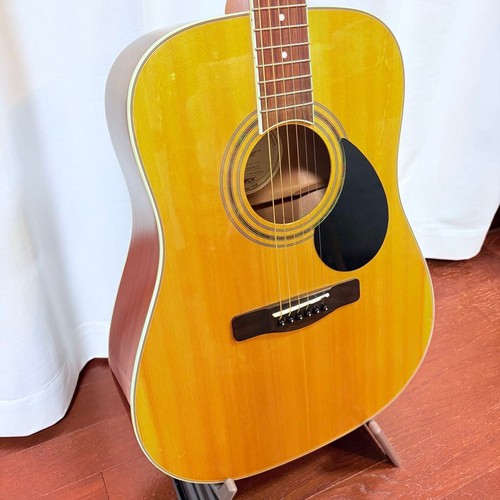 Guitare acoustique samick - acoustique, greg