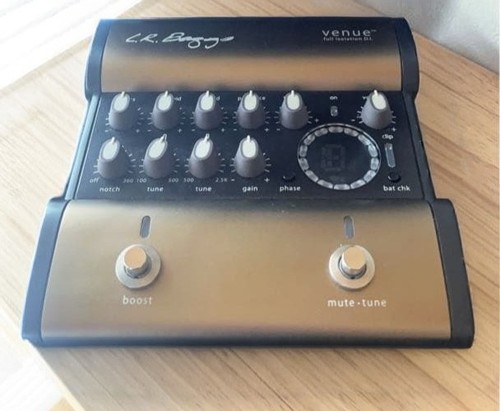 Baggs venue acoustic - baggs,