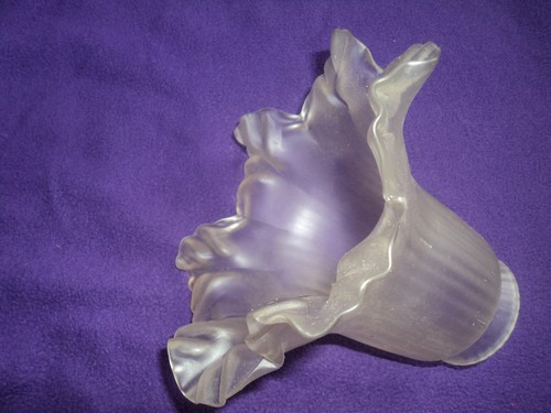 Ancienne tulipe fleur pâte - fleur,
