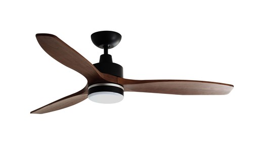 éco ventilateur plafond avec - Éco,