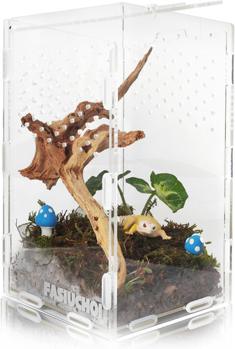 Small acrylic terrarium - acrylic,