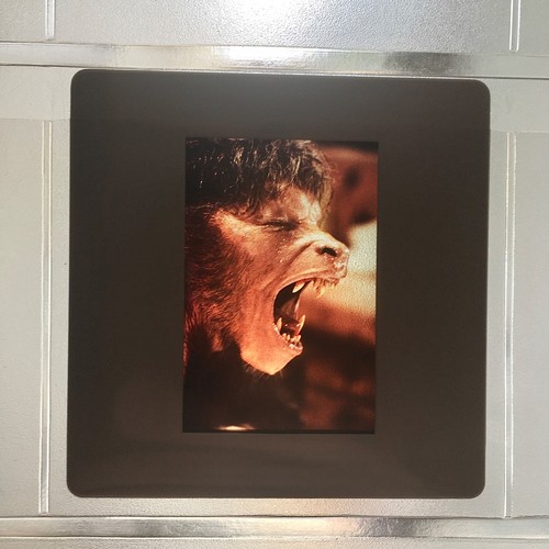 American werewolf london - in,