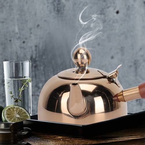 Bouilloire pour cuisiniere - bouilloire,