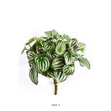 Peperomia artificiel Vert