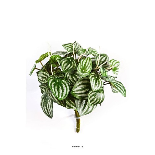 Peperomia artificiel vert - artificiel,