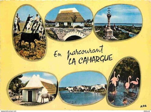 Carte postale camargue - postale,