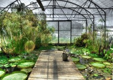 Affiche d'art mural de jardin