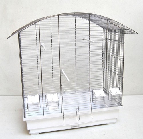 Cage oiseaux ula - oiseaux, ula,