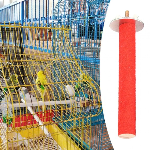 Cage perroquets - cage, à