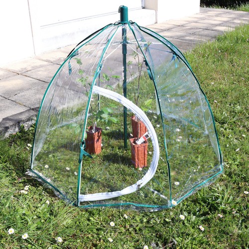 Mini serre cloche déployable - mini-serre,