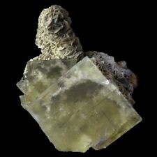 ★☆ FLUORINE DU TARN de Peyrebrune - 3,3 cm - C16-34 ☆★