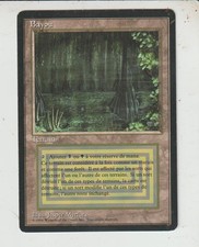 x1 carte Bayou dual land
