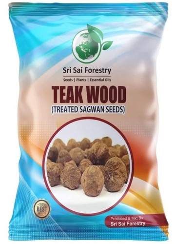 Teak wood seeds sagwan - teak,