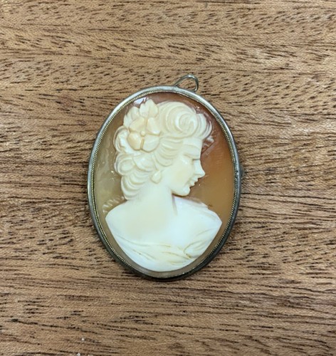 Magnifique broche pendentif - magnifique, broche/pendentif