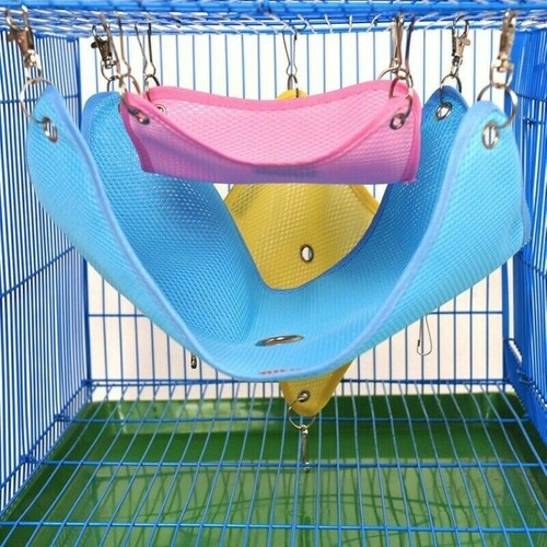 Hamster hamac chinchillas - hamster,