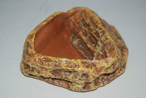 Vivarium reptile rock - vivarium,