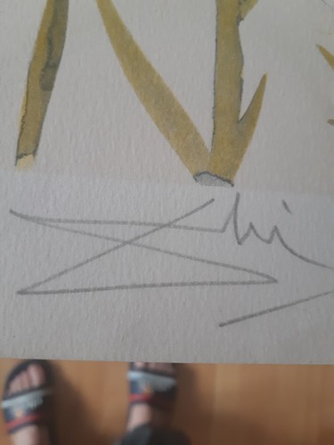 Lithographie dali numérotée - lithographie,