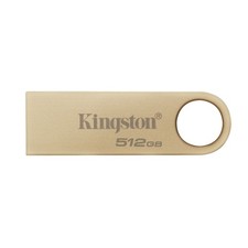 Clé USB Kingston