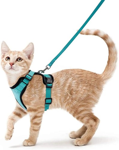 Harnais laisse pour chat - et,