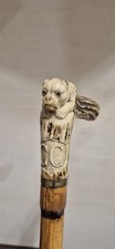 Canne Ancienne Chien Pommeau Corne XIXeme
