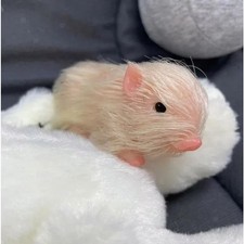 Cochon en Silicone créatif