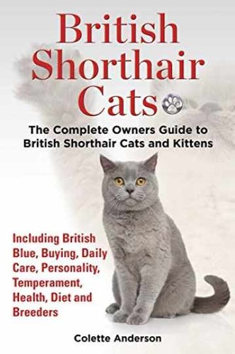 British shorthair cats the - british,