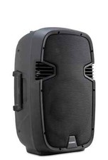 Enceinte Subwoofer Passif DJ